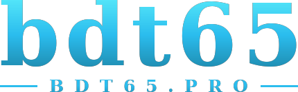 bdt65 logo